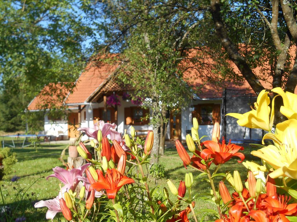 Vendégmarasztaló Porta Hotel Szalafő Kültér fotó